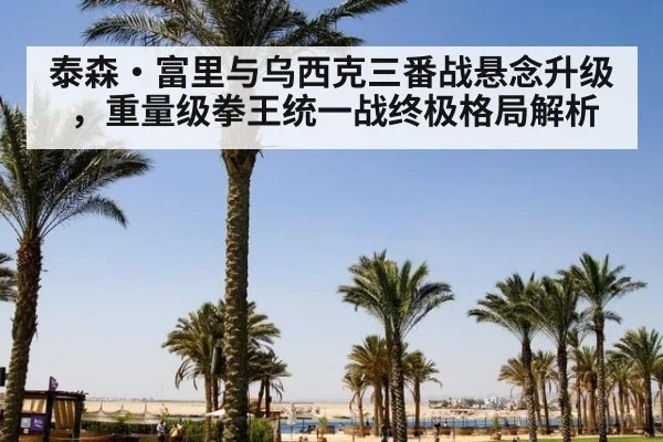 泰森·富里与乌西克三番战悬念升级，重量级拳王统一战终极格局解析